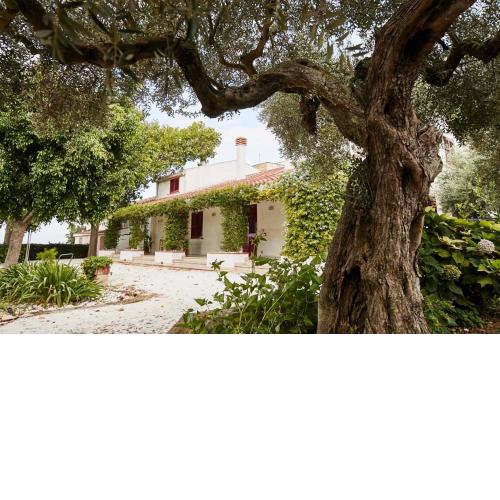 La Casa Bianca