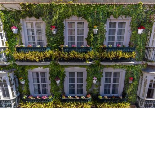 La Casa de las Flores