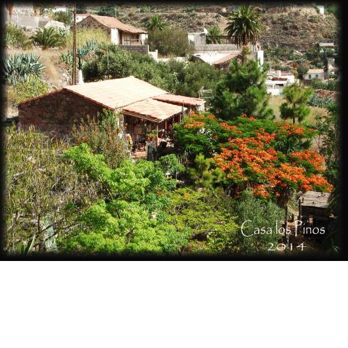 La Casa de los Pinos Temisas