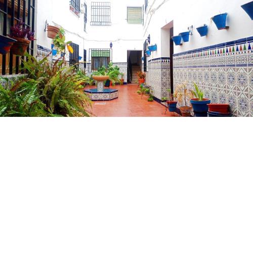La casa del patio en pleno San Lorenzo