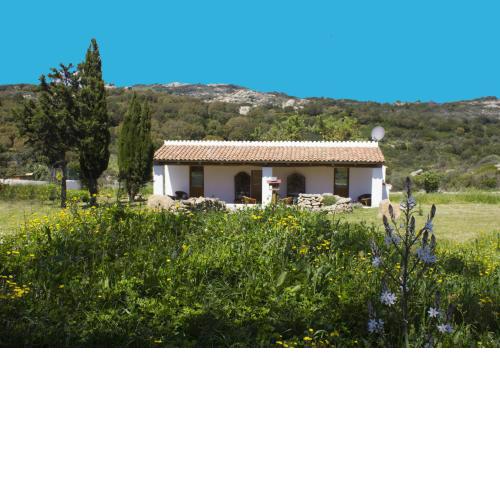 La Casa Del Poeta
