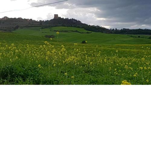 La Casa del susino