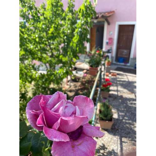 La casa delle rose vicino alle 5 terre (Framura)