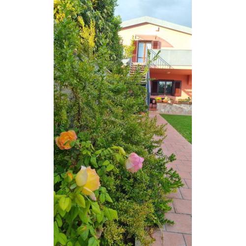 La casa delle rose