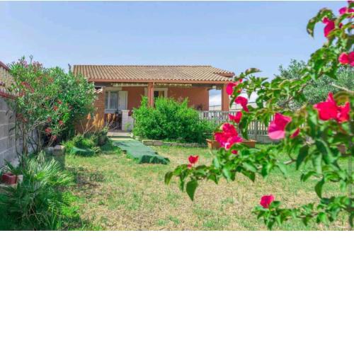 La casa dell'ulivo
