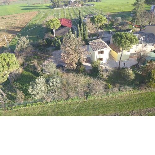 La casa di Bach