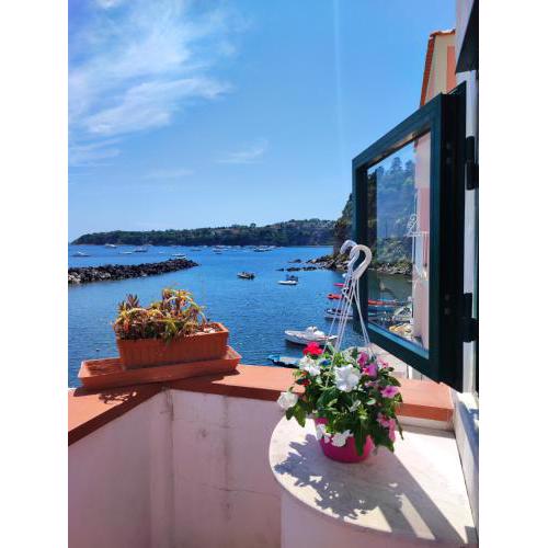 La casa di Nonna Rosa