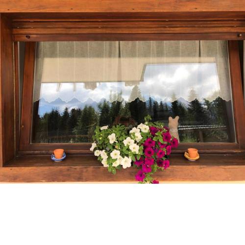 La casa di Olivia