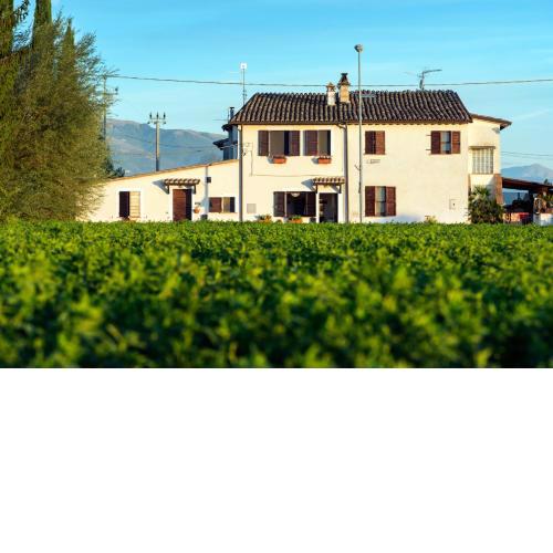 La Casa di Smilla - (Bevagna)