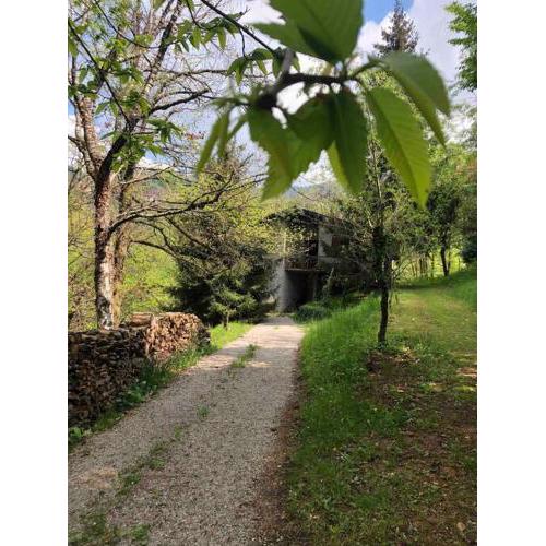 La casa nel bosco Brione 017030-CNI-00002
