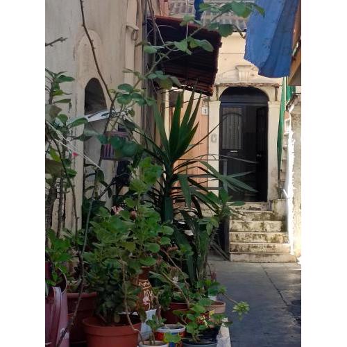 La casa nel vicolo