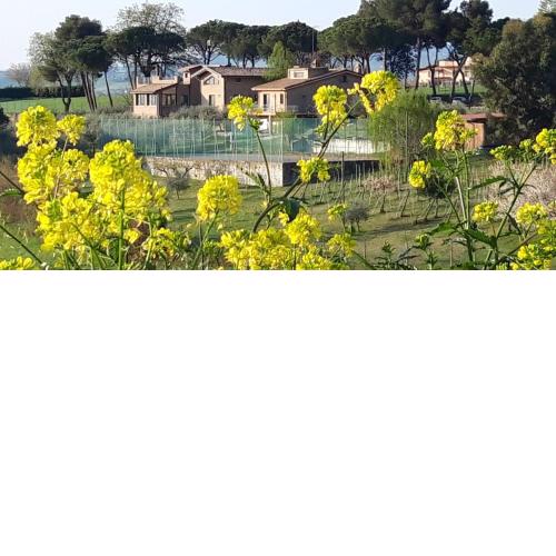 LA CASA NELLA PRATERIA
