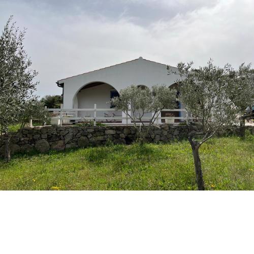 La casa nell'oliveto