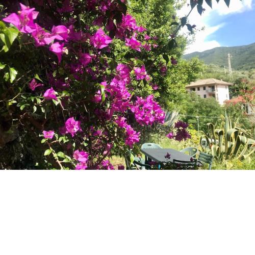 La Casa Novella, a 450 metri dal mare