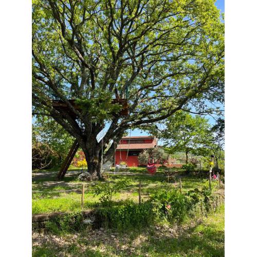 La Casa Rossa nell’Oasi verde