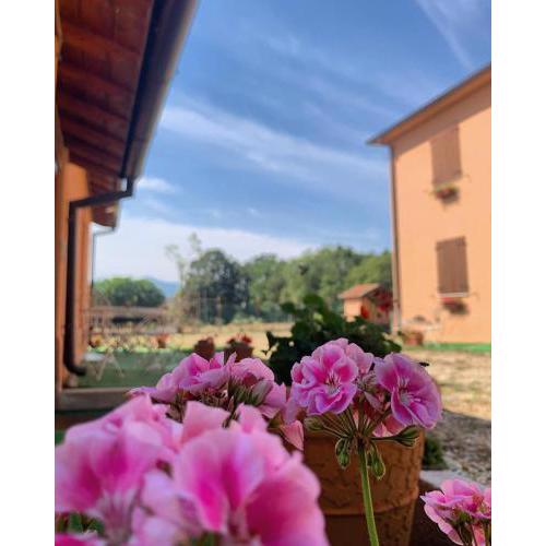 La Cascina della Vachina