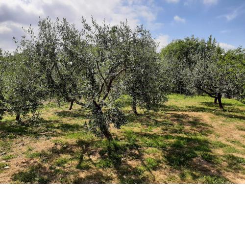 La casetta di Bianca