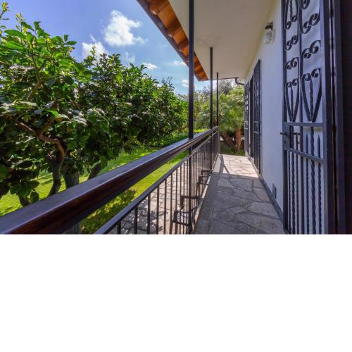 La Casetta Sull'Albero 900m from the sea - Happy Rentals