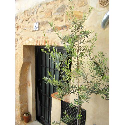 La Casina de Piedra ENCANTO - Parte Antigua de Cáceres