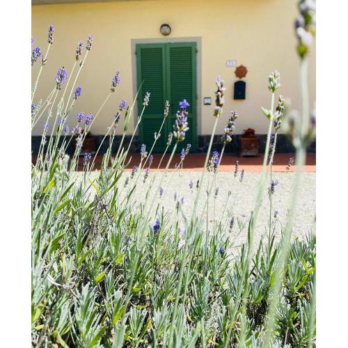 La Casina di Nonno Enzo