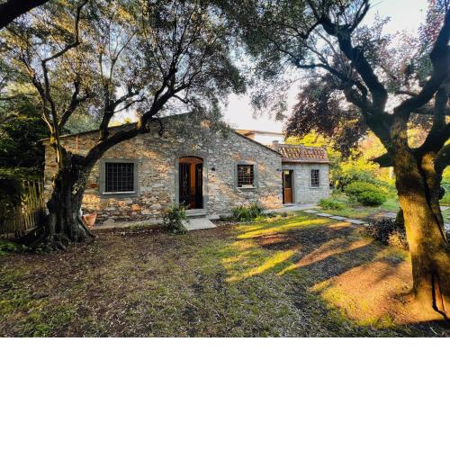 La Casina di Susy
