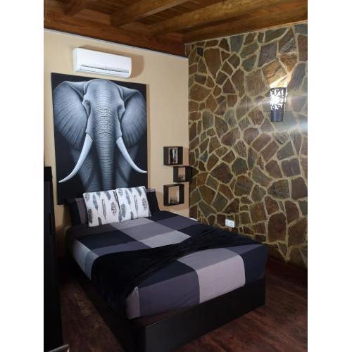 La casita de Abi!