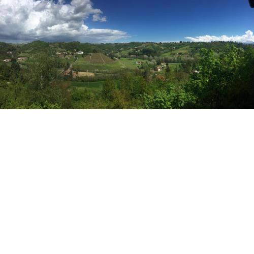 La Contea