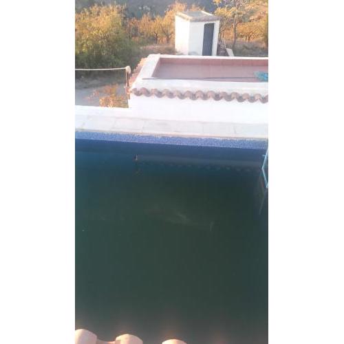 La Cruz Pintá II