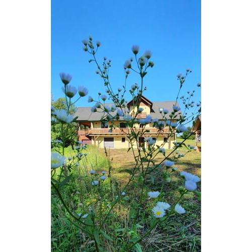 La Ferme Francej - Beautiful house with spa and sauna