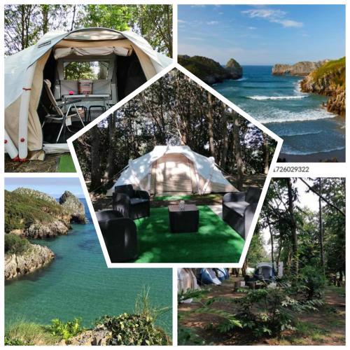 La Finca - Campamento en la Naturaleza