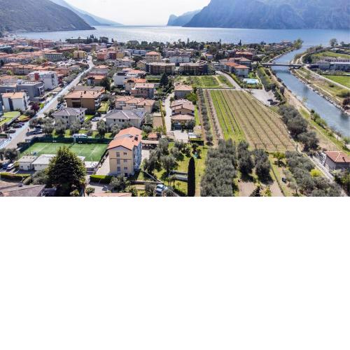 La finestra sugli Olivi
