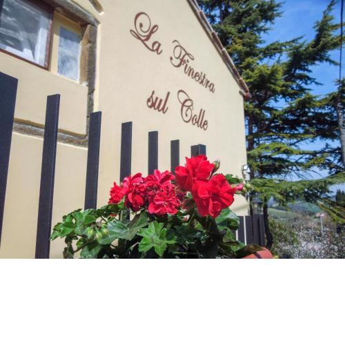 La Finestra sul Colle