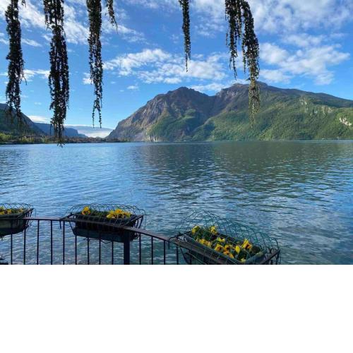 La finestra sul lago