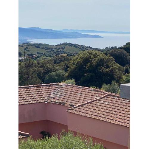 La finestra sull'asinara