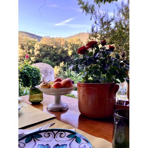 La Fucinaia Pet Friendly B&B