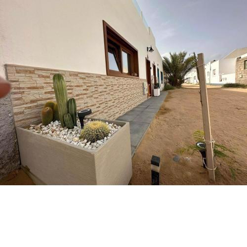 La Graciosita Traditional Home