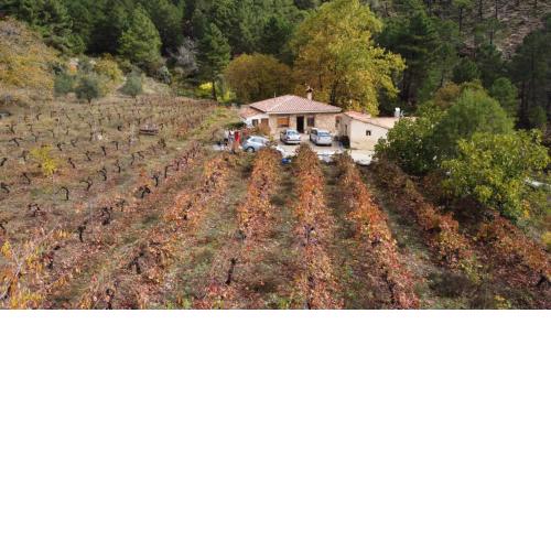 La Limonera