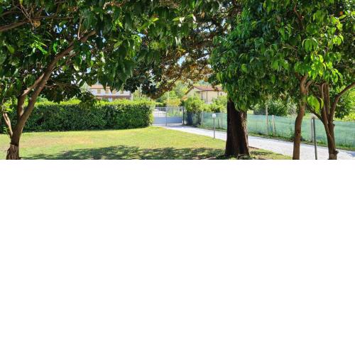 La Magnolia
