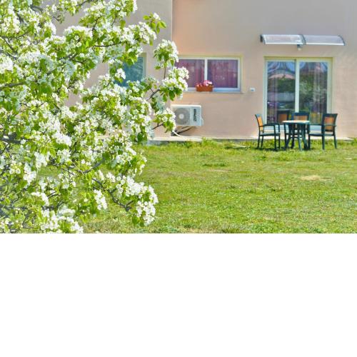 La Maison di Zia Annina in Sardegna