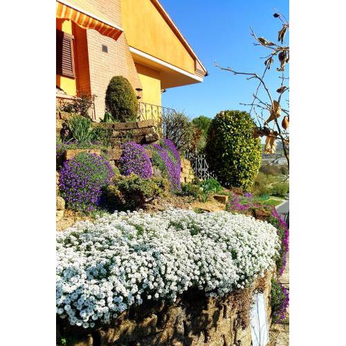 La Mammola Bed&Breakfast