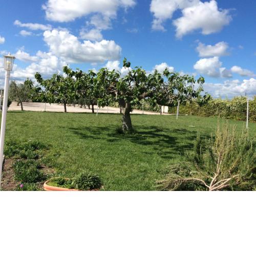 LA MASSARÌA agriresort