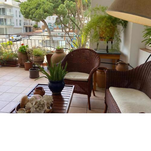 La mejor terraza de Tamariu