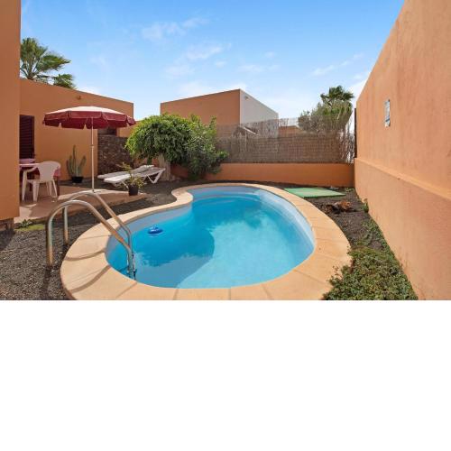 La Palmera de la Oliva