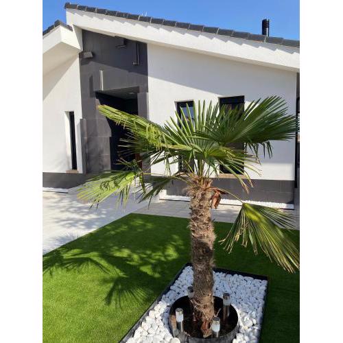La Palmera del Sotillo