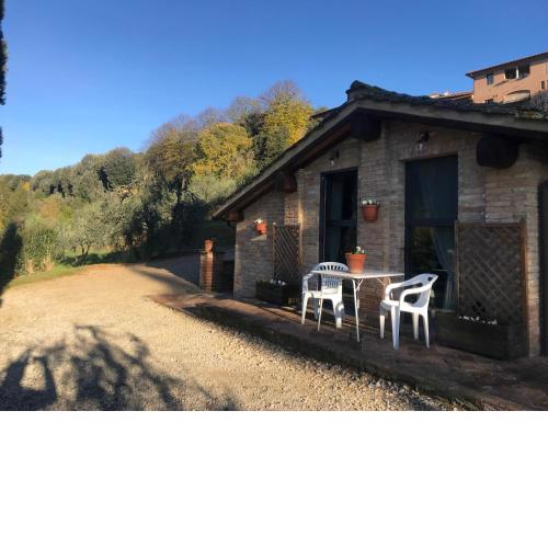 La perla tra gli ulivi