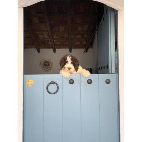La Puerta Azul