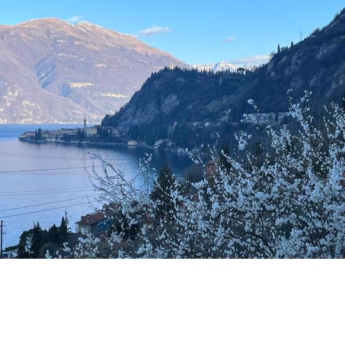 La punta di Varenna
