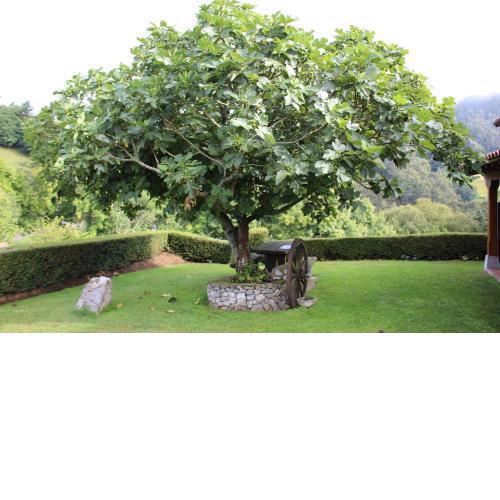 La Quintana Sinariega