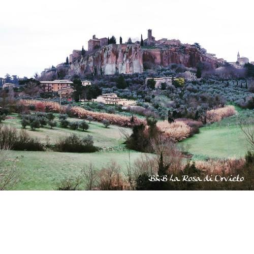 La Rosa di Orvieto
