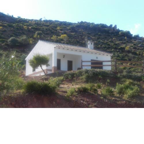 La solana de turon. El pino